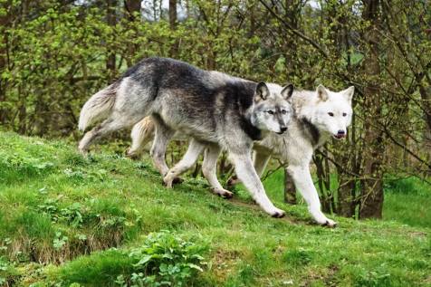 25073282_10214596357040118_3417151793725120847_o